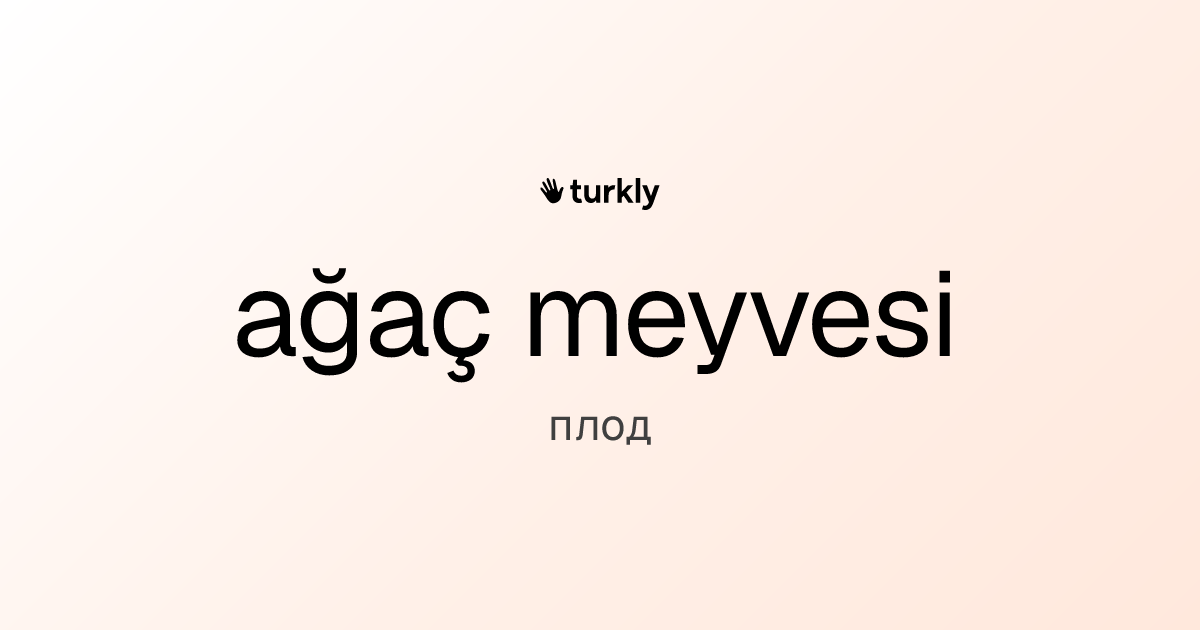 ağaç meyvesi — плод