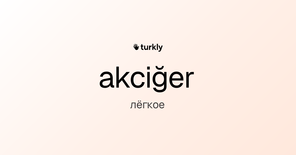 akciğer — лёгкое