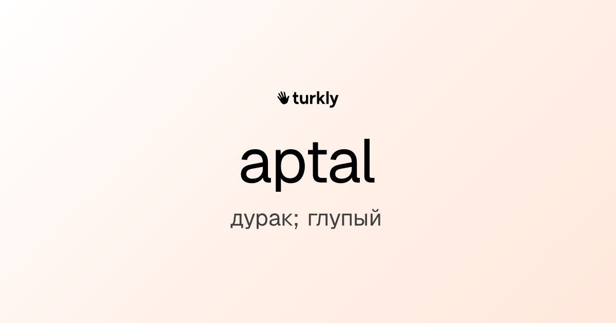 aptal — дурак; глупый