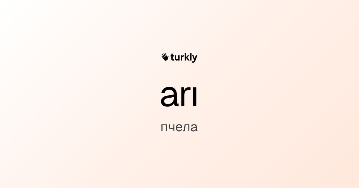 arı — пчела