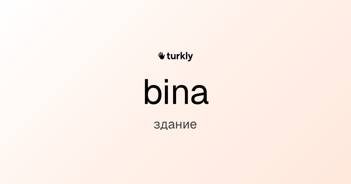 bina — здание