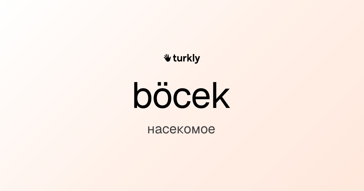 böcek — насекомое