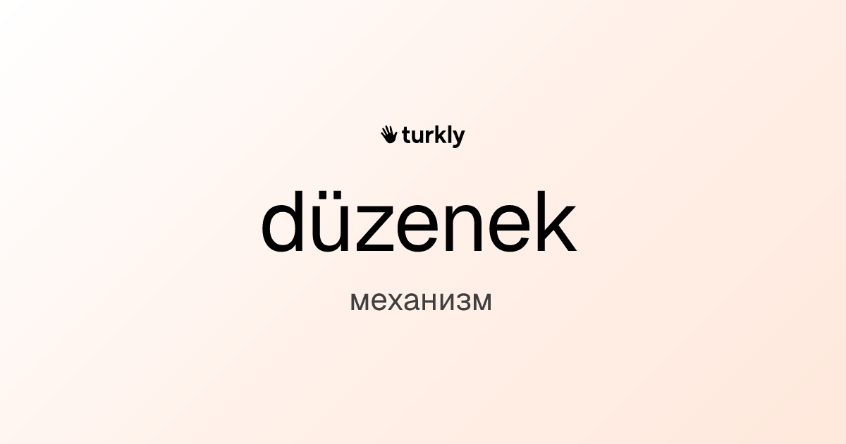 düzenek — механизм