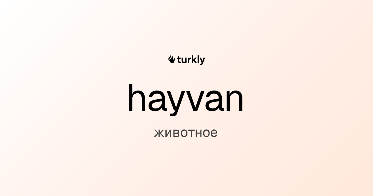 hayvan — животное