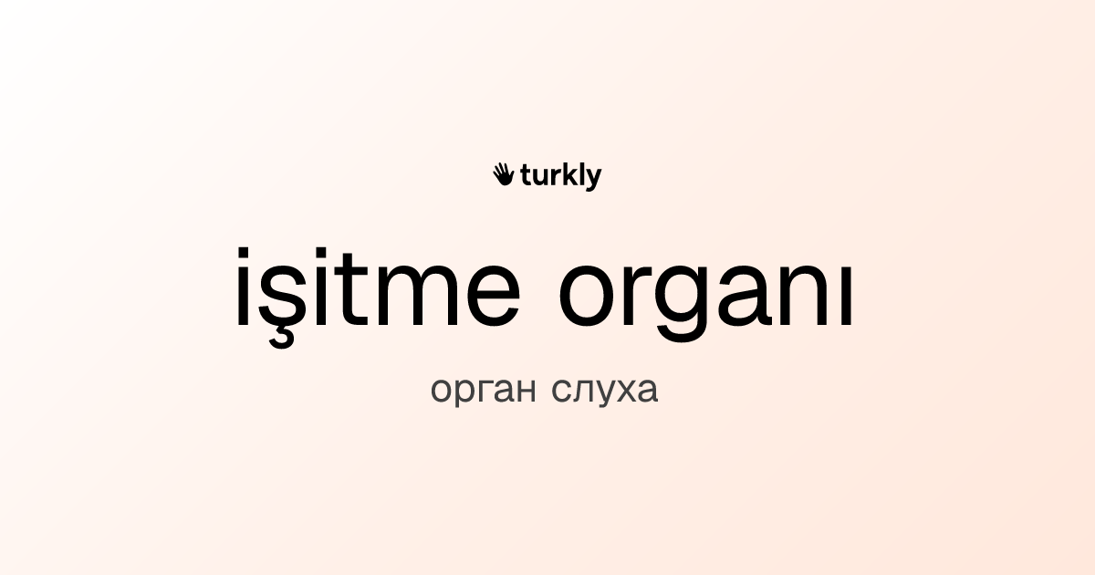işitme organı — орган слуха
