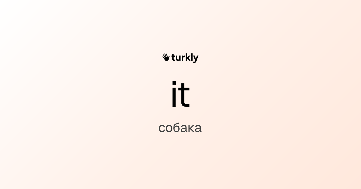 it — собака
