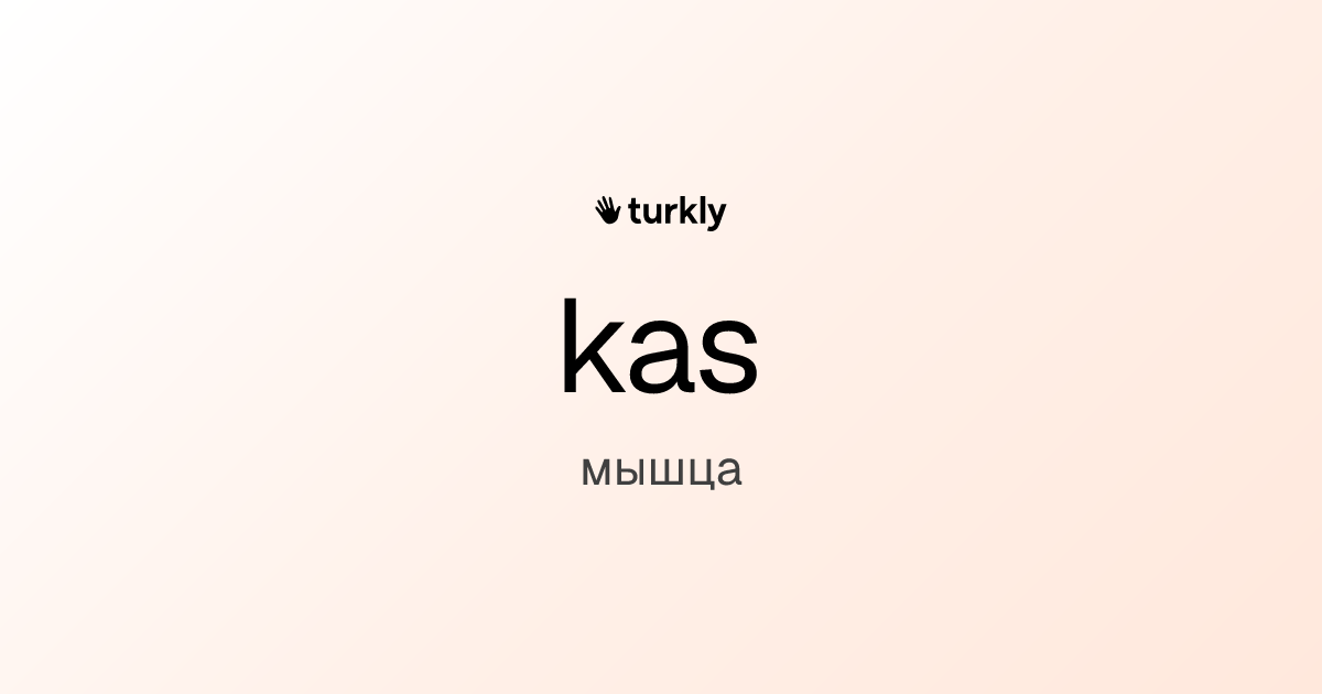 kas — мышца