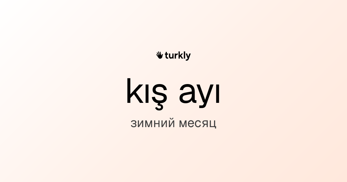 kış ayı — зимний месяц