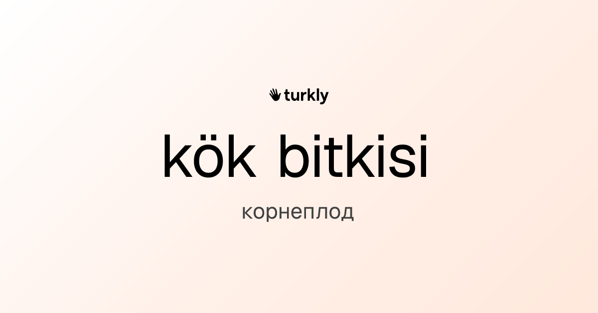 kök bitkisi — корнеплод