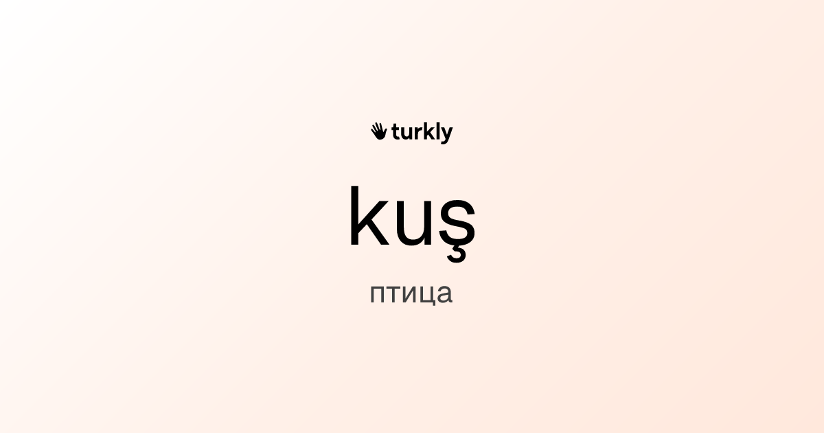 kuş — птица
