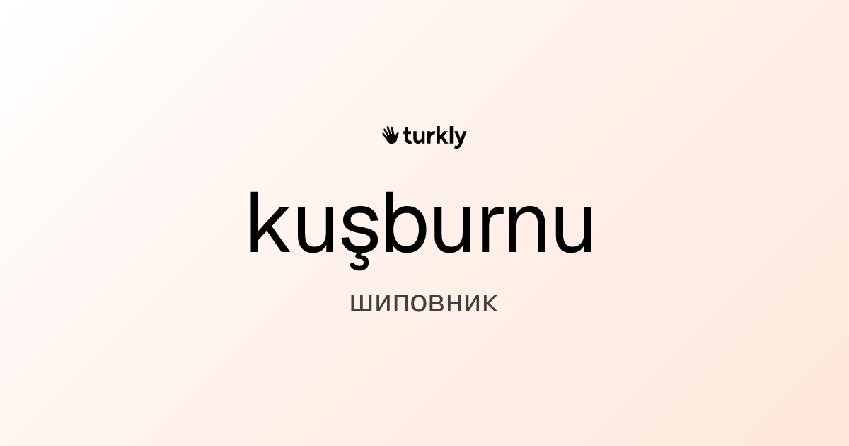 kuşburnu — шиповник
