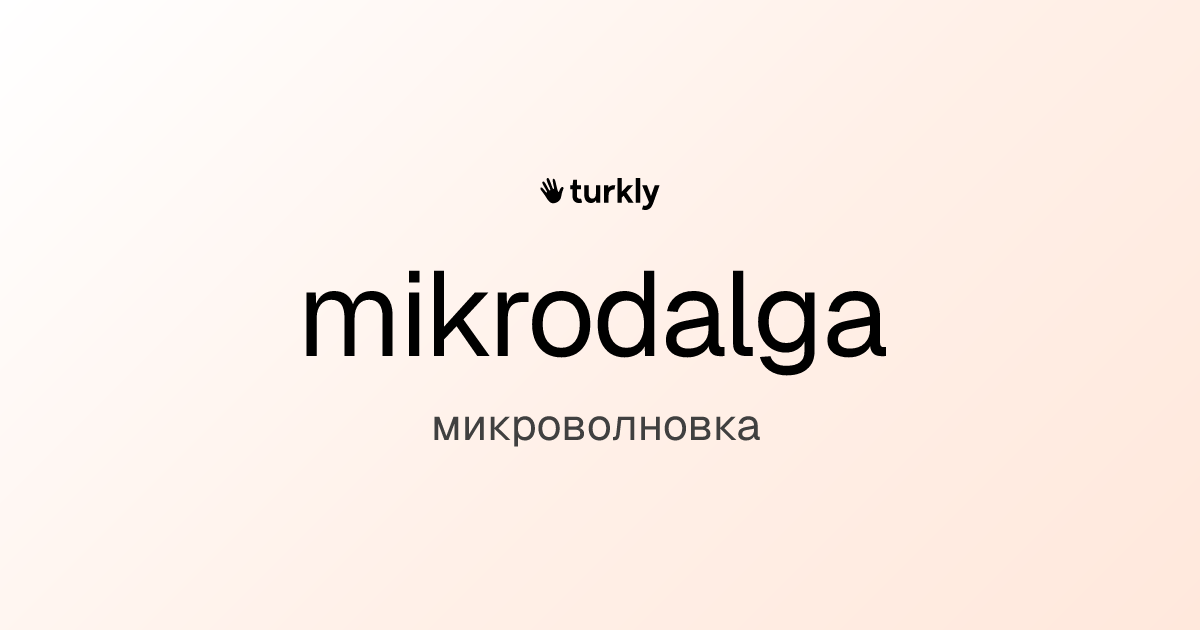 mikrodalga — микроволновка