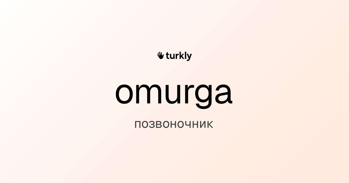 omurga — позвоночник