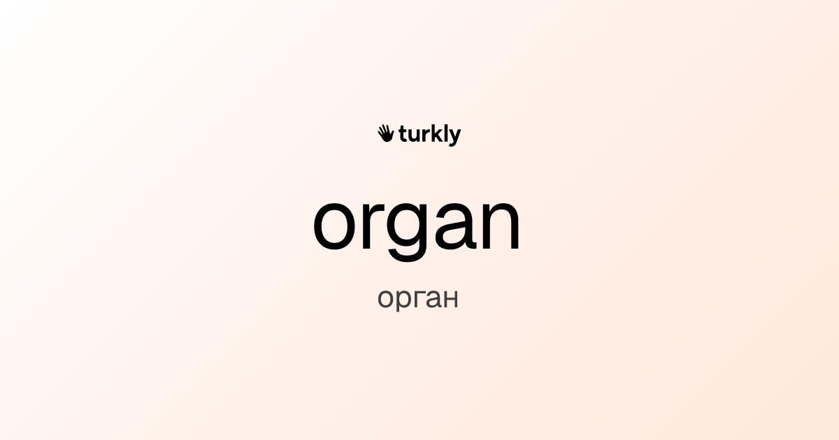 organ — орган