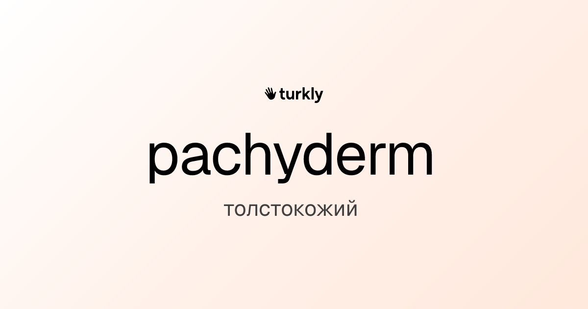 pachyderm — толстокожий