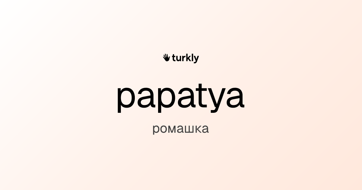 papatya — ромашка