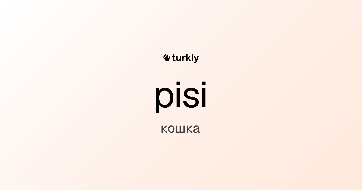 pisi — кошка