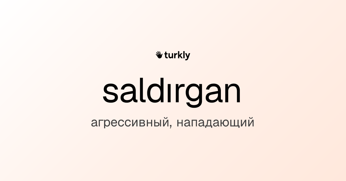 saldırgan — агрессивный, нападающий