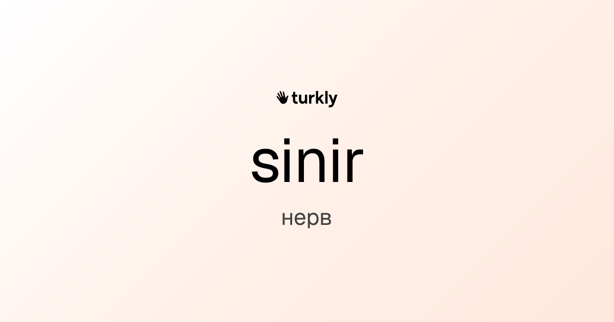 sinir — нерв