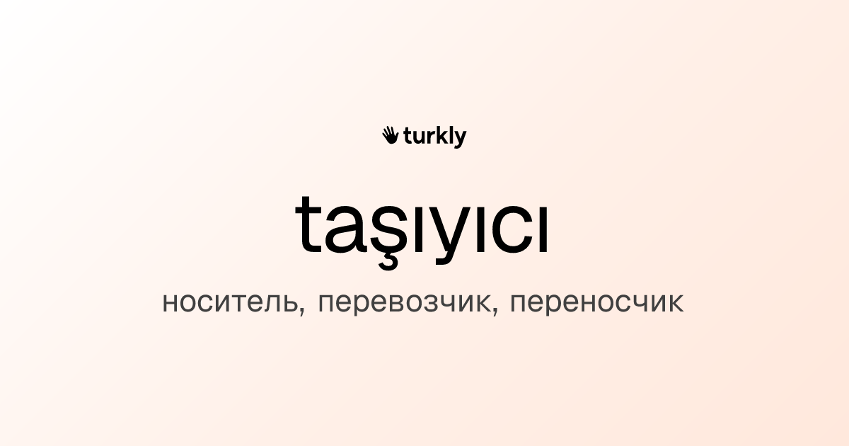 taşıyıcı — носитель, перевозчик, переносчик