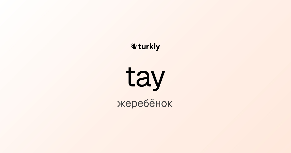 tay — жеребёнок