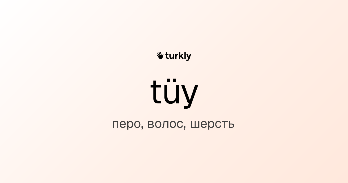 tüy — перо, волос, шерсть